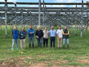 Progetto agrivoltaico avanzato presso Terrasini (PA).